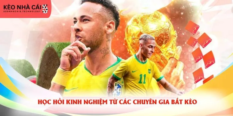 Học hỏi kinh nghiệm từ các chuyên gia bắt kèo