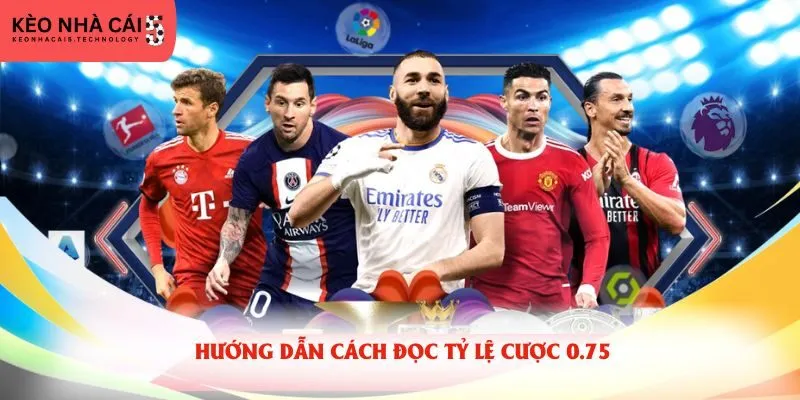 Hướng dẫn cách đọc tỷ lệ cược 0.75
