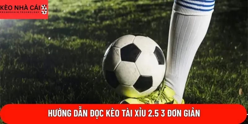 Hướng dẫn đọc kèo tài xỉu 2.5 3 đơn giản
