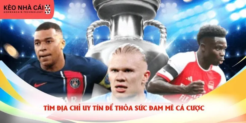 Tìm địa chỉ uy tín để thỏa sức đam mê cá cược